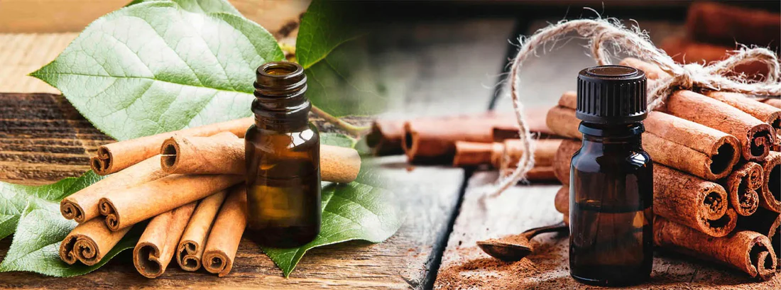 Cinnamon_Oil